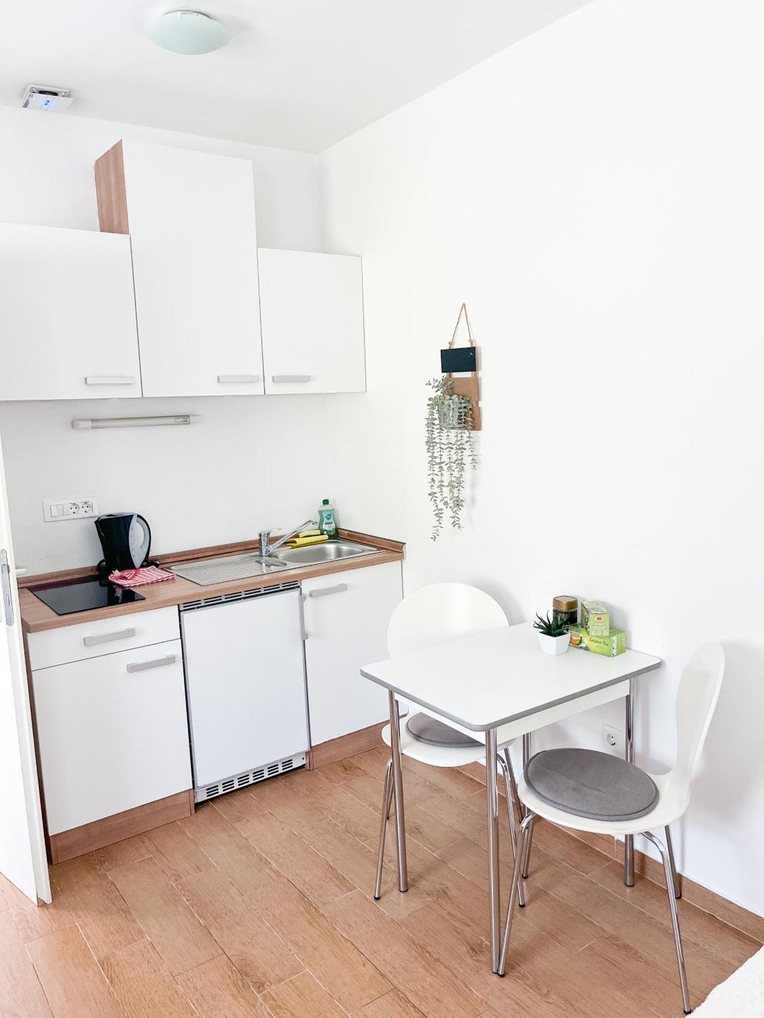 Anita'S Studio Apartments 卢布尔雅那 外观 照片