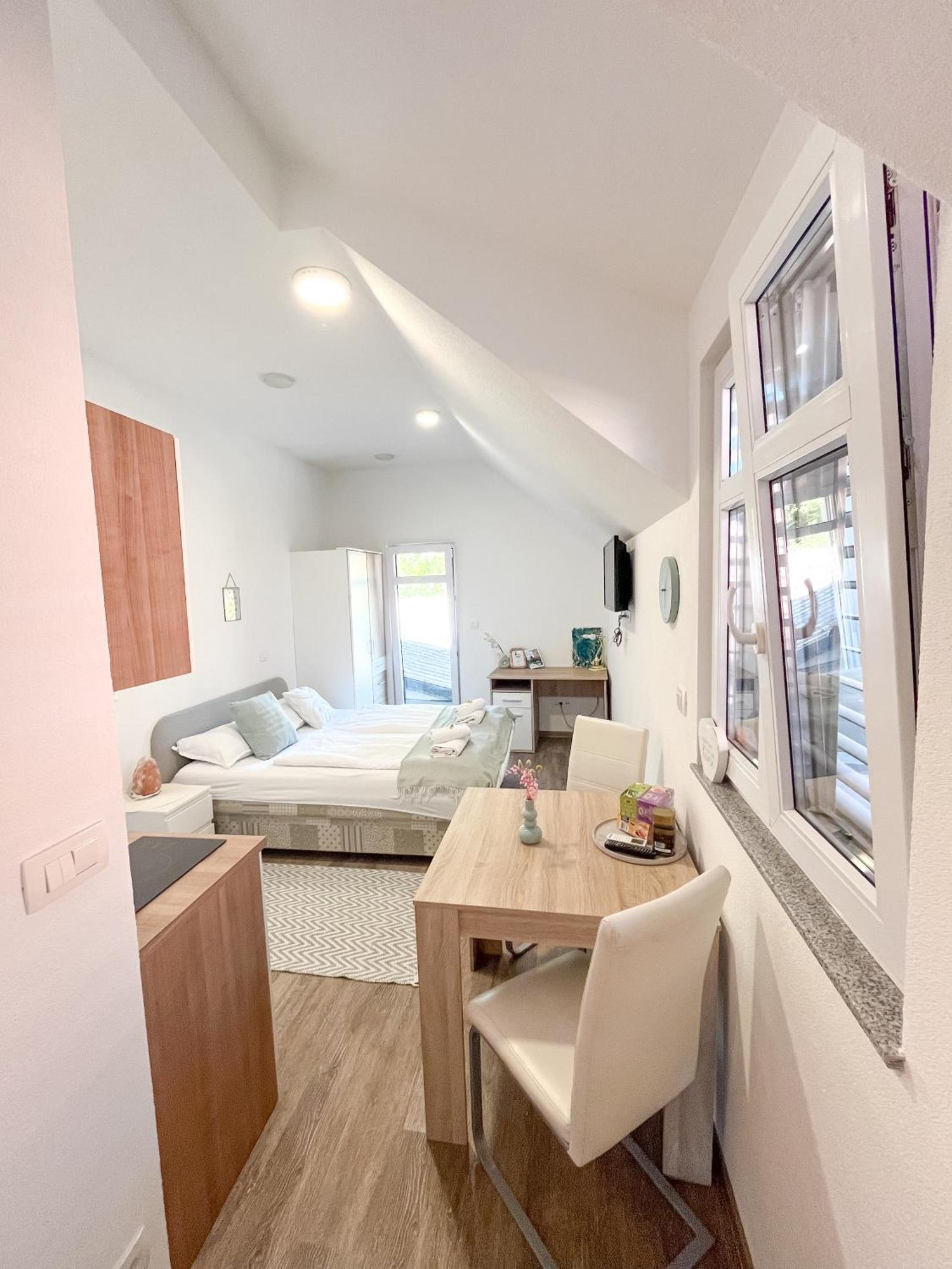 Anita'S Studio Apartments 卢布尔雅那 外观 照片